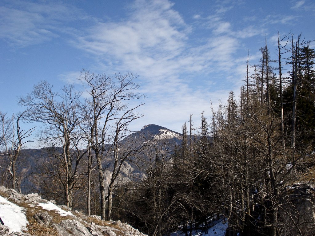 19 zum Hochlantschgipfel.JPG